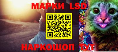 мяу мяу мука Ликино-Дулёво