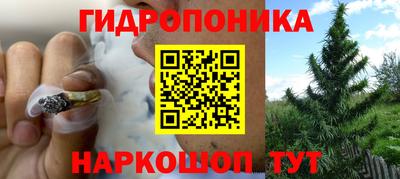 спайс Ливны