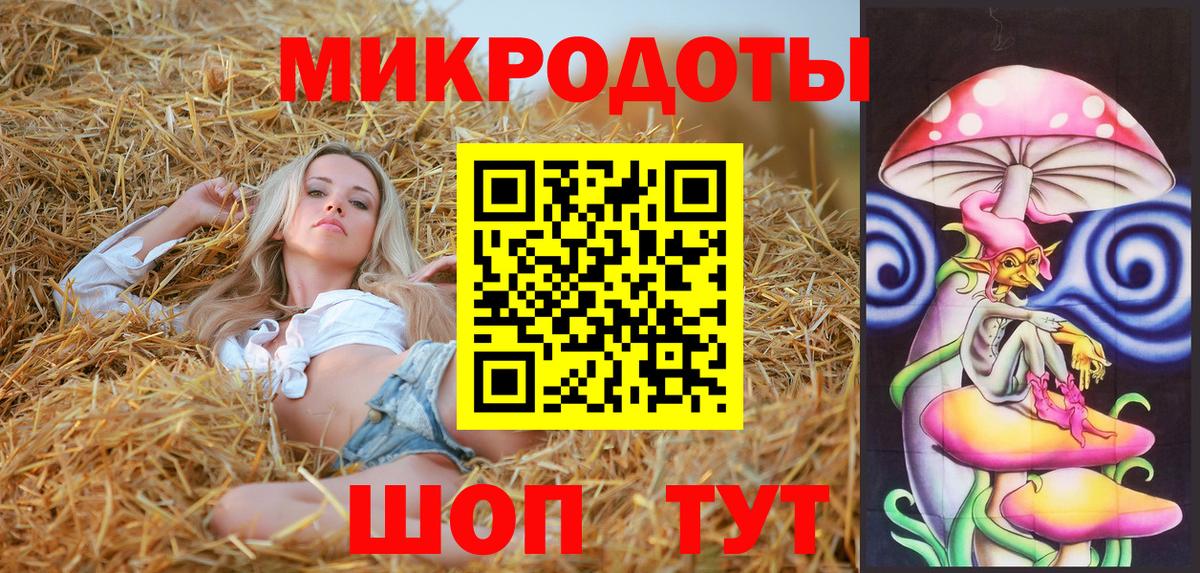 Псилоцибиновые грибы Psilocybine cubensis Воронеж