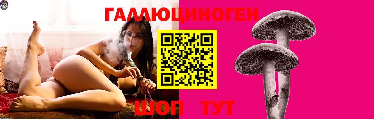 Галлюциногенные грибы мицелий  Вход с VPN  Воронеж 